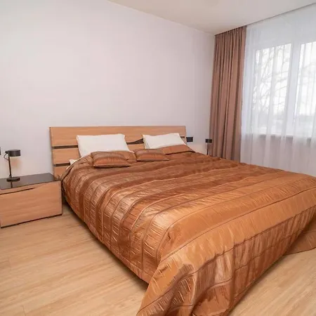 City 1 Bd By Hostlovers * Kaunas